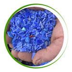 Caixaria PEAD Azul